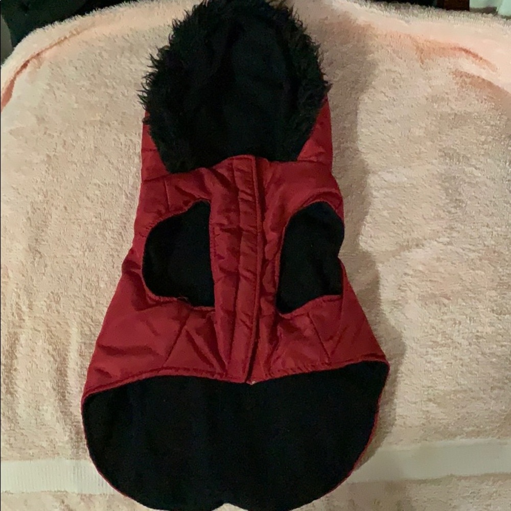 Dog Coat